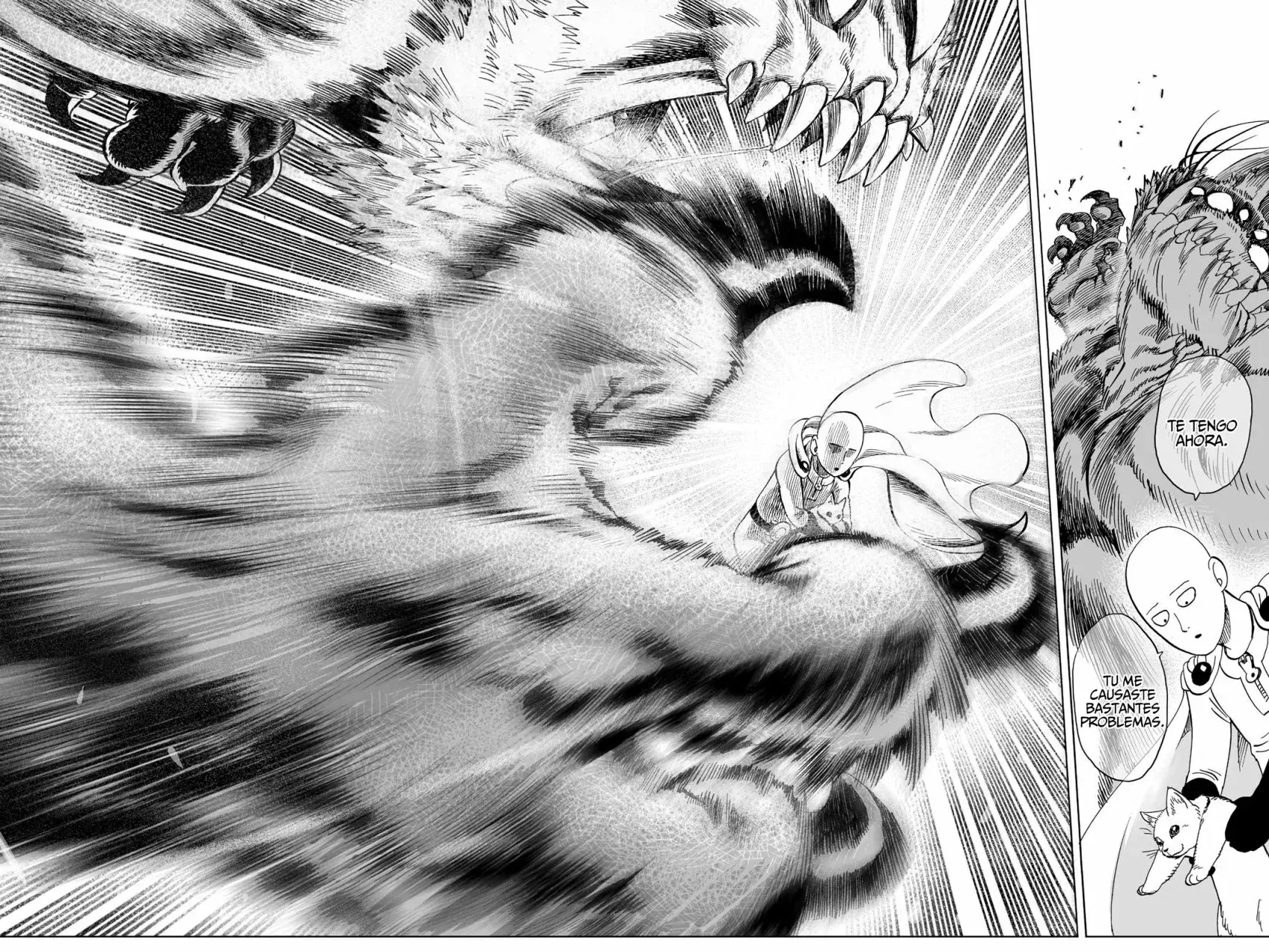 Página 29 — ONE PUNCH-MAN Capítulo 40.5