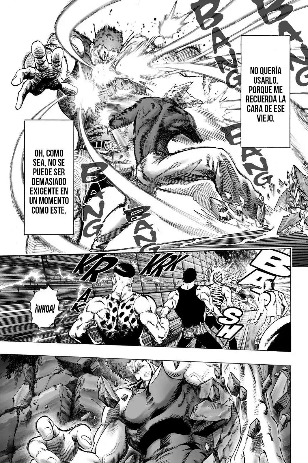 Página 13 — ONE PUNCH-MAN Capítulo 47