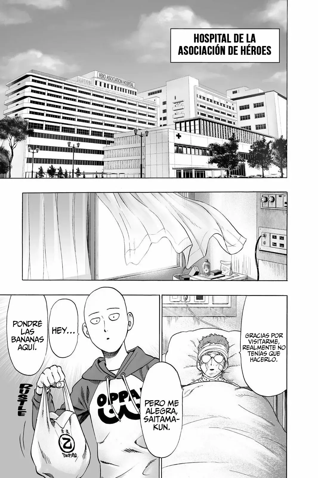 Página 13 — ONE PUNCH-MAN Capítulo 48