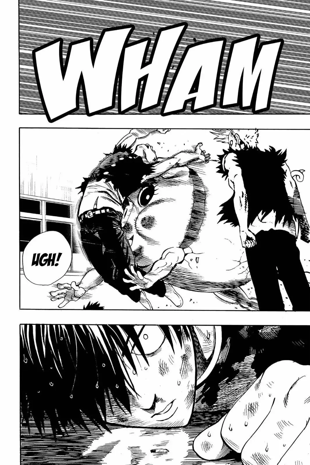 Página 13 — ONE PUNCH-MAN Capítulo 8.5