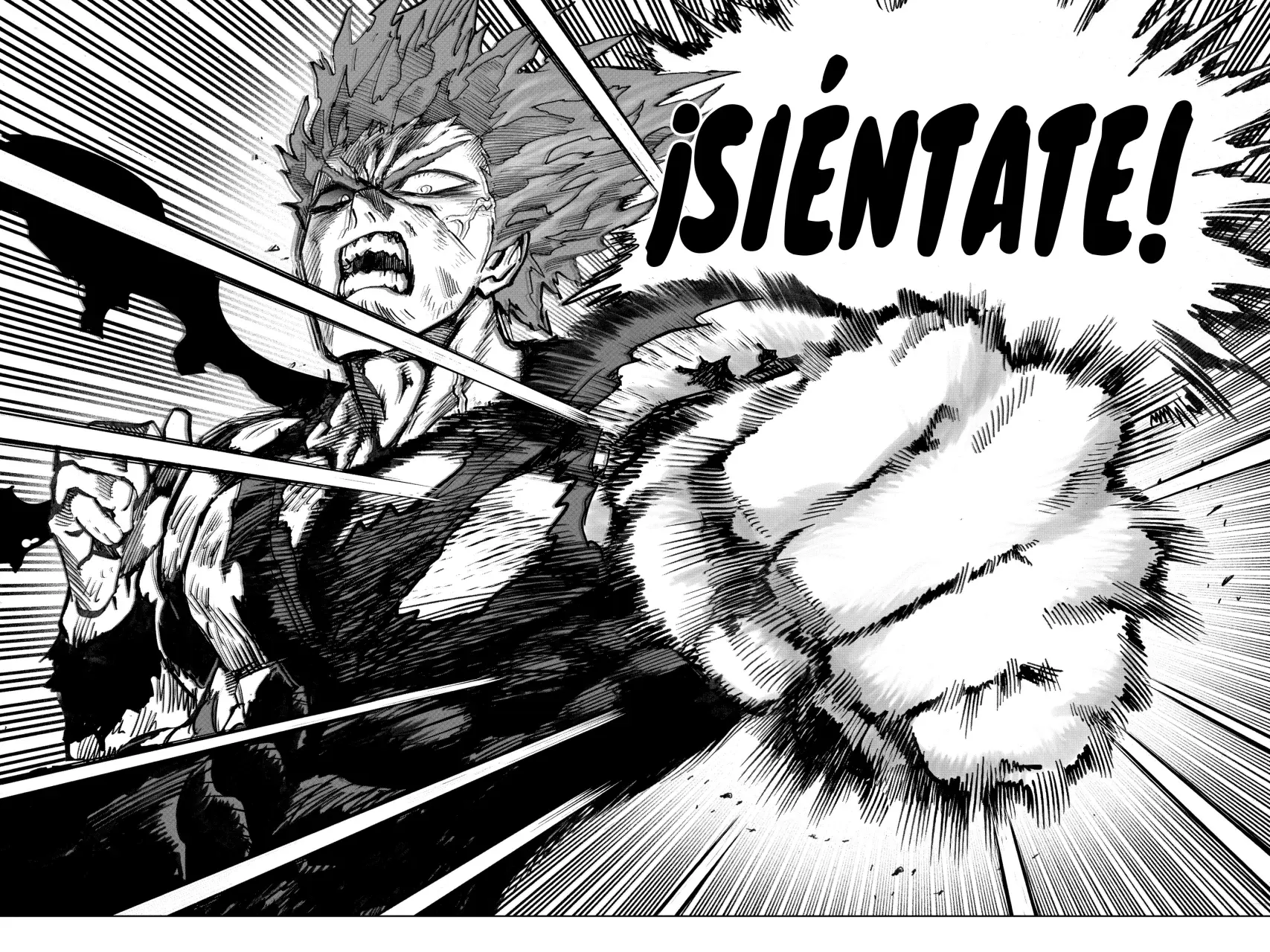 Página 52 — ONE PUNCH-MAN Capítulo 93