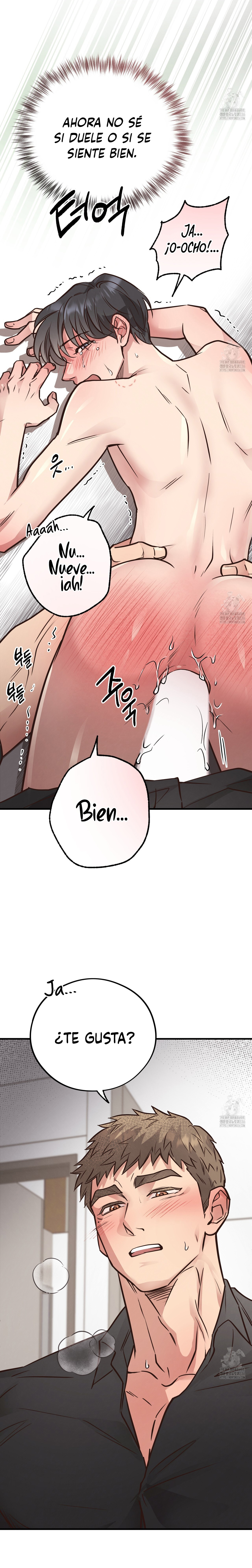 Página 22 — Osito De Miel Capítulo 41