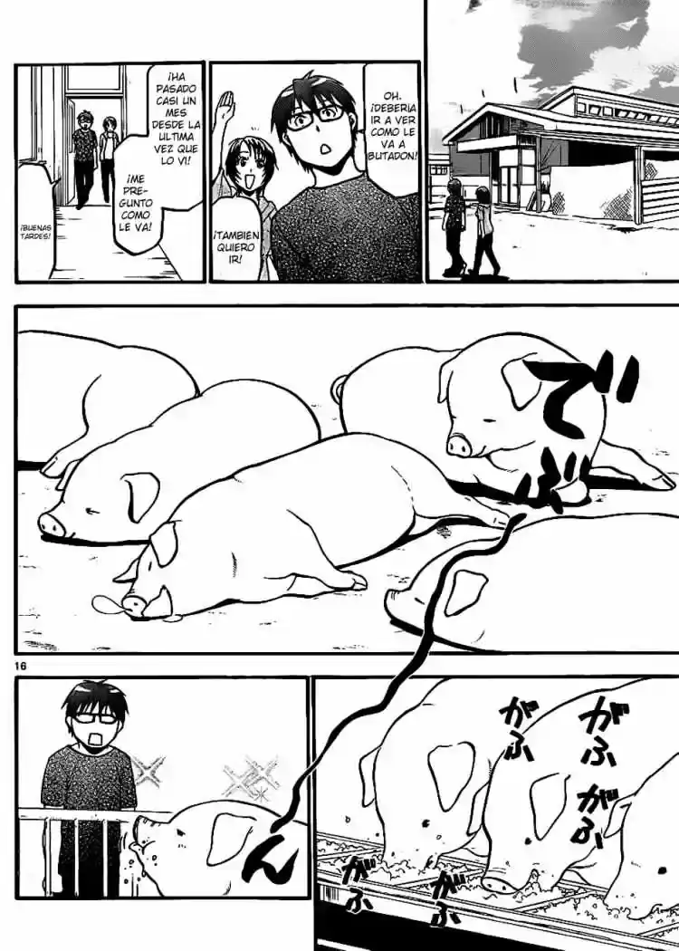 Página 17 — Silver Spoon Capítulo 22