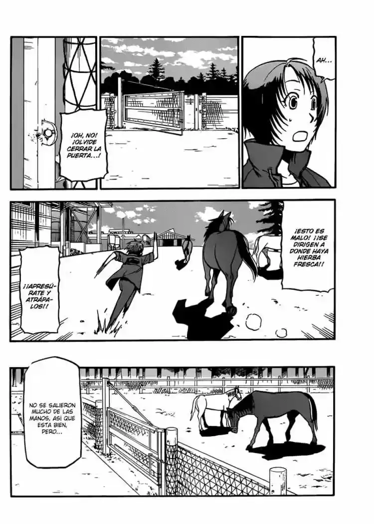 Página 11 — Silver Spoon Capítulo 33