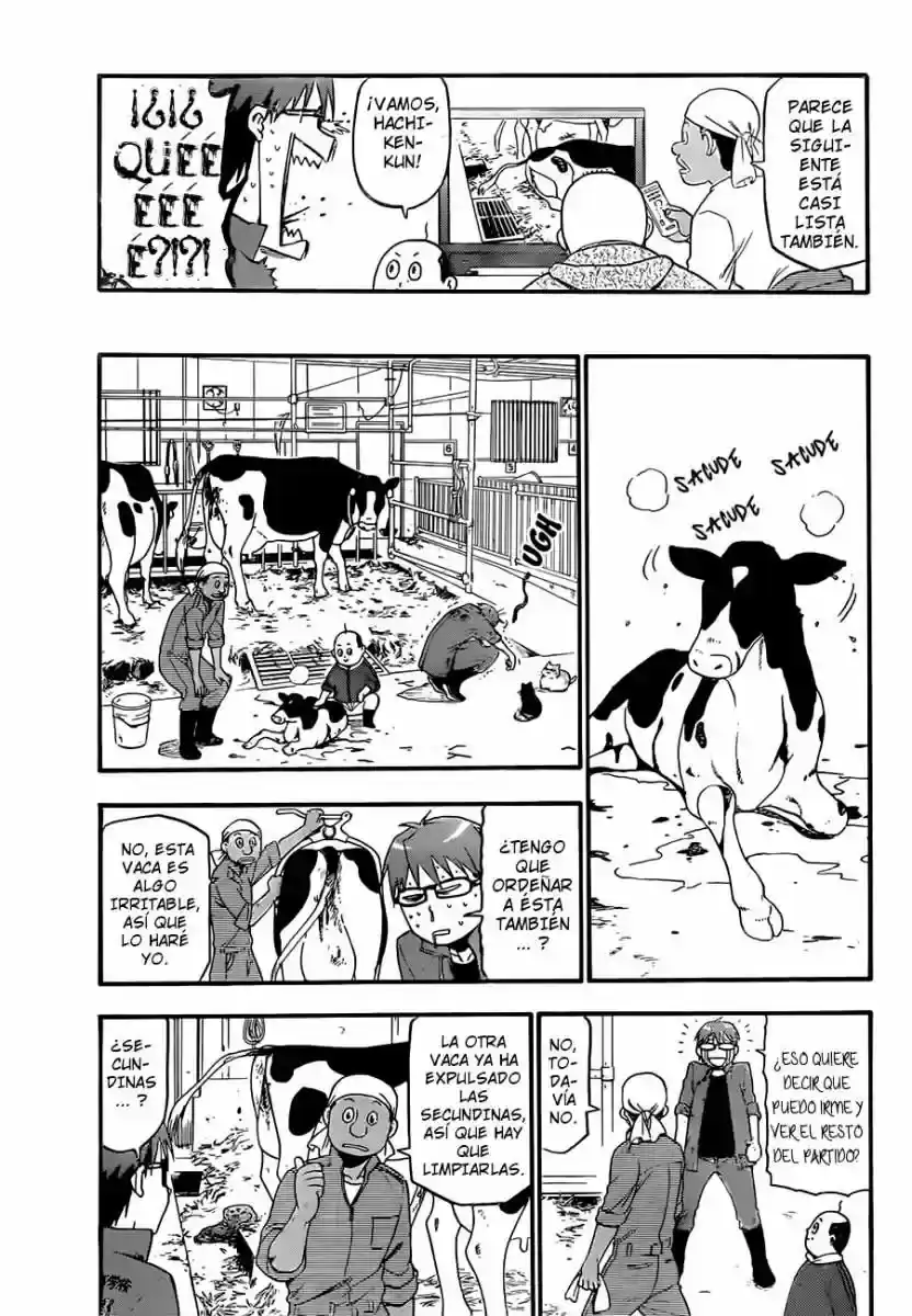 Página 13 — Silver Spoon Capítulo 60