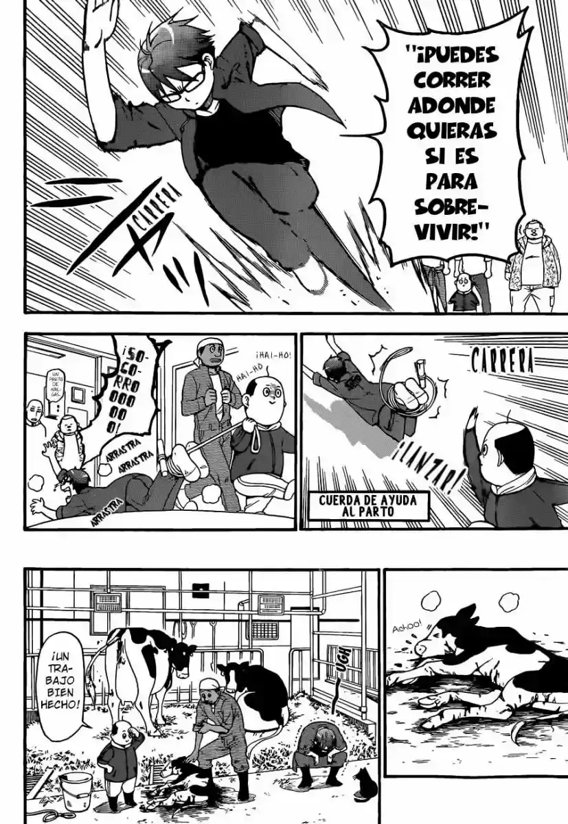 Página 29 — Silver Spoon Capítulo 60
