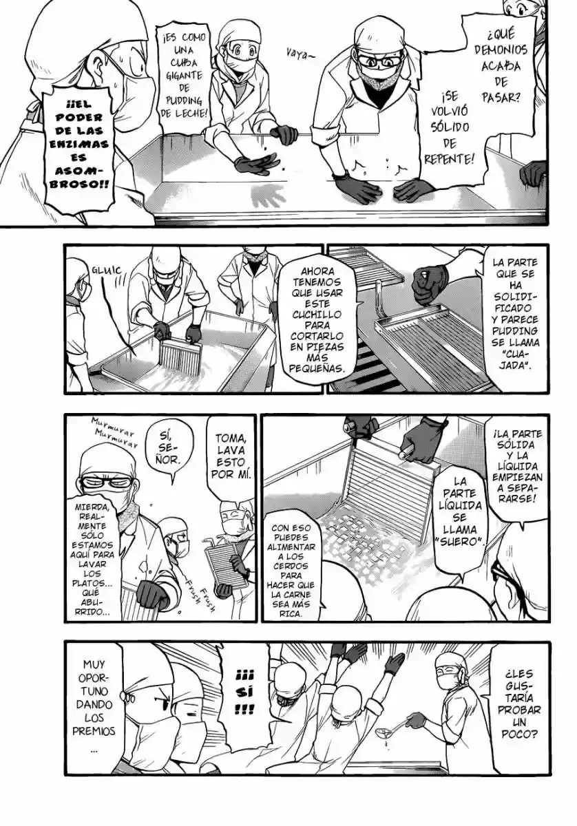 Página 30 — Silver Spoon Capítulo 62