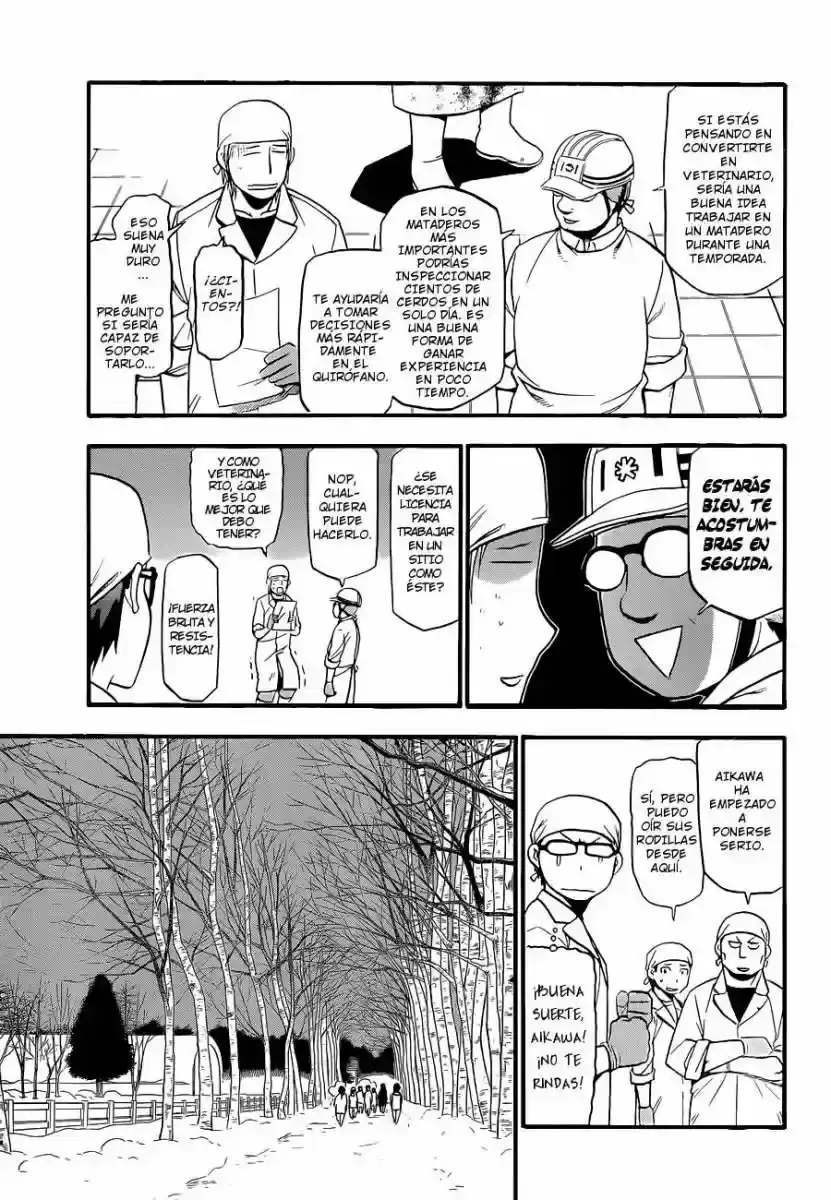 Página 34 — Silver Spoon Capítulo 77