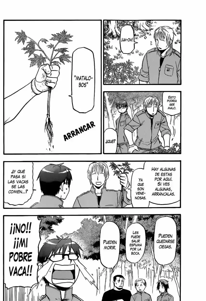 Página 31 — Silver Spoon Capítulo 99