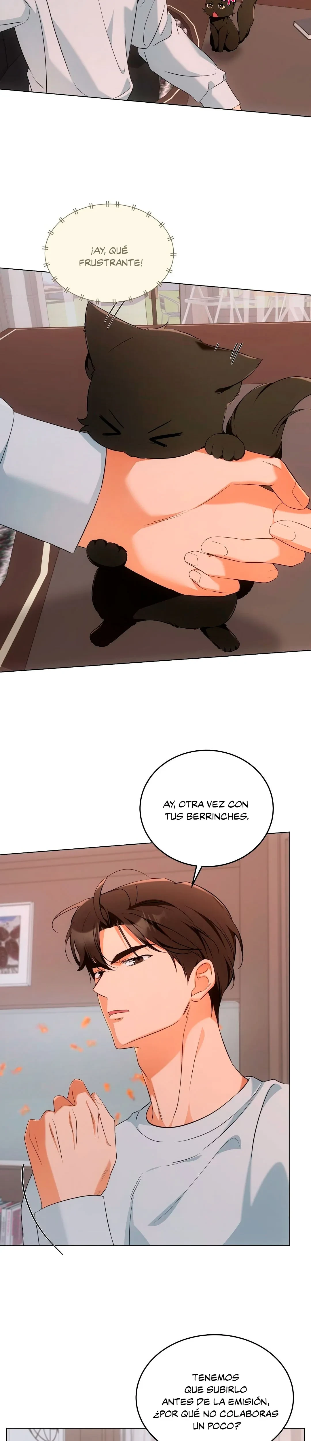 Página 10 — Terapia de gatos Capítulo 10