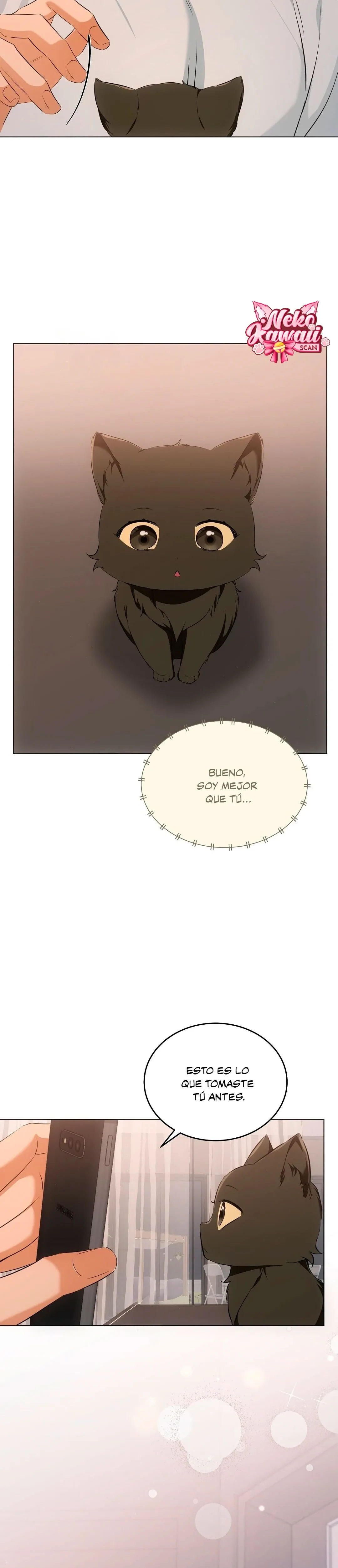 Página 16 — Terapia de gatos Capítulo 10