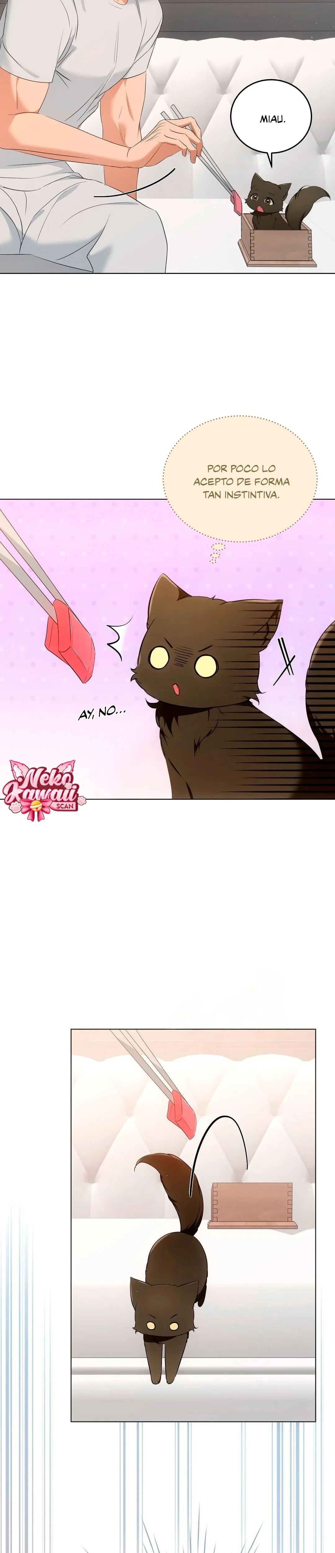 Página 7 — Terapia de gatos Capítulo 11