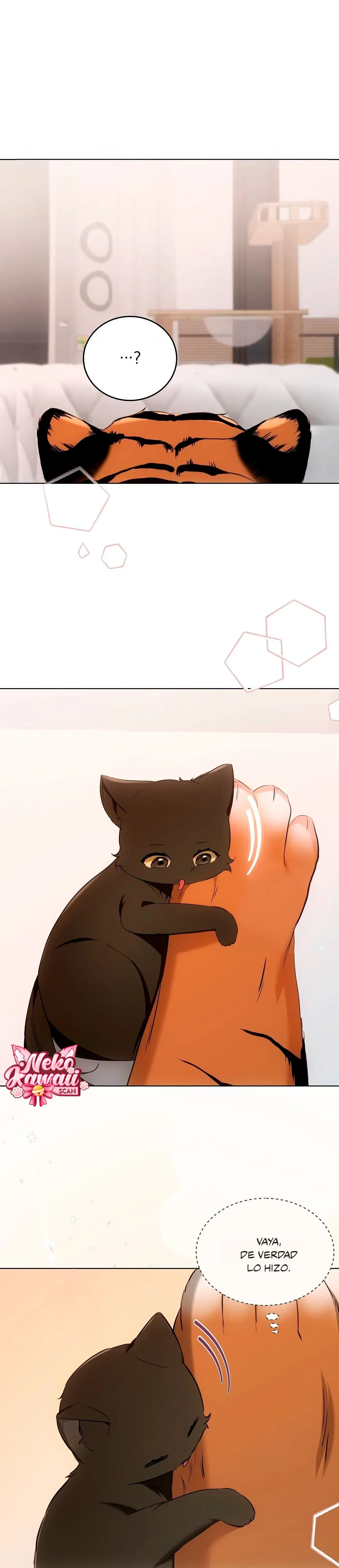 Página 27 — Terapia de gatos Capítulo 11