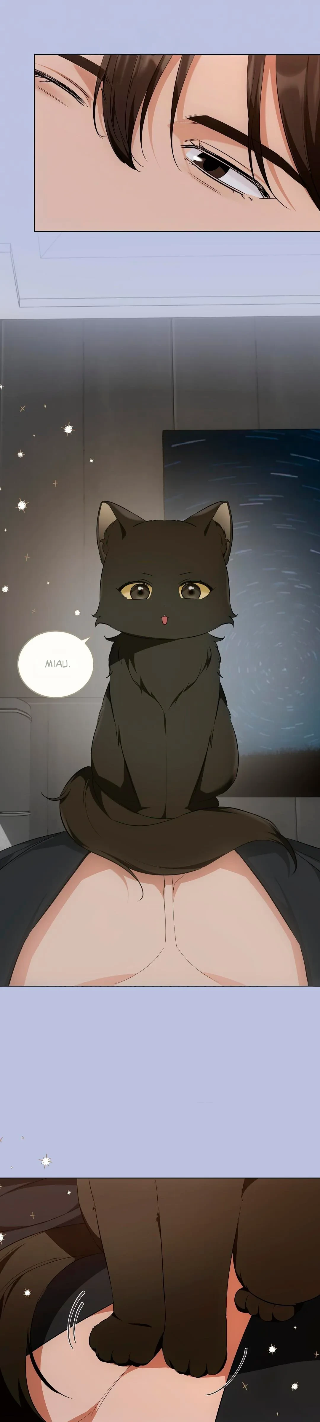 Página 22 — Terapia de gatos Capítulo 14