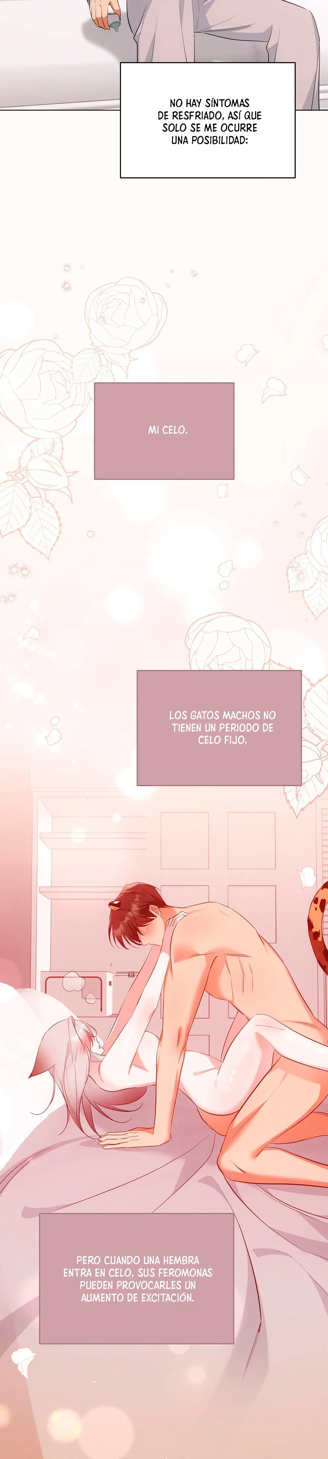 Página 22 — Terapia de gatos Capítulo 18