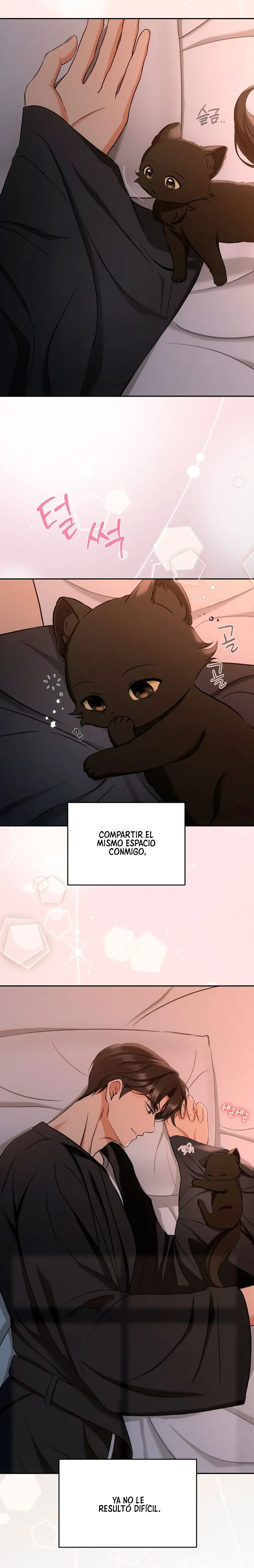 Página 11 — Terapia de gatos Capítulo 2