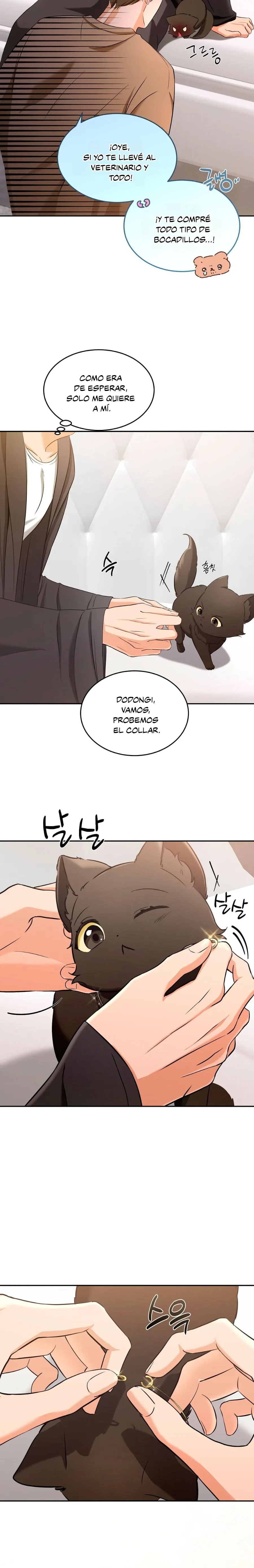 Página 14 — Terapia de gatos Capítulo 2