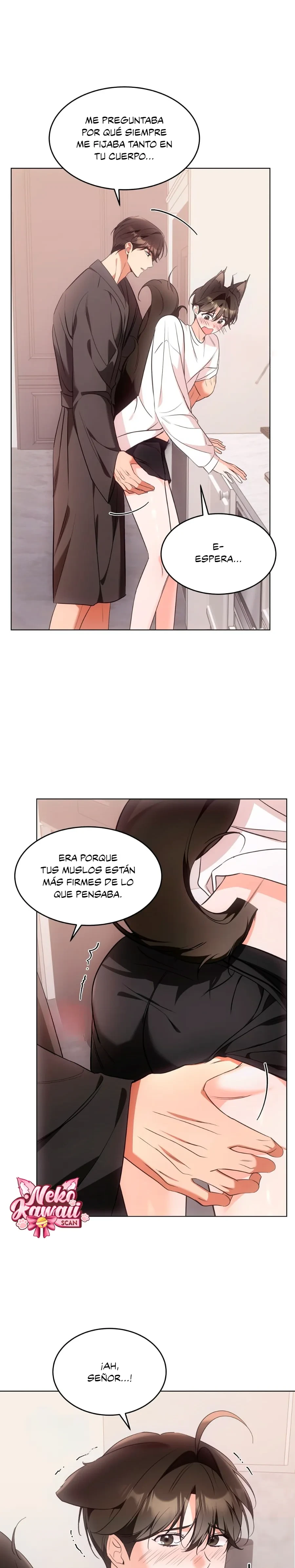 Página 13 — Terapia de gatos Capítulo 20