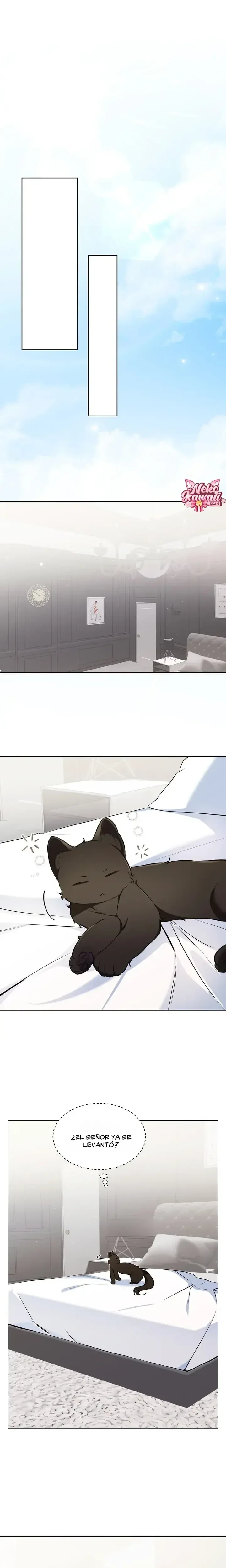 Página 1 — Terapia de gatos Capítulo 25