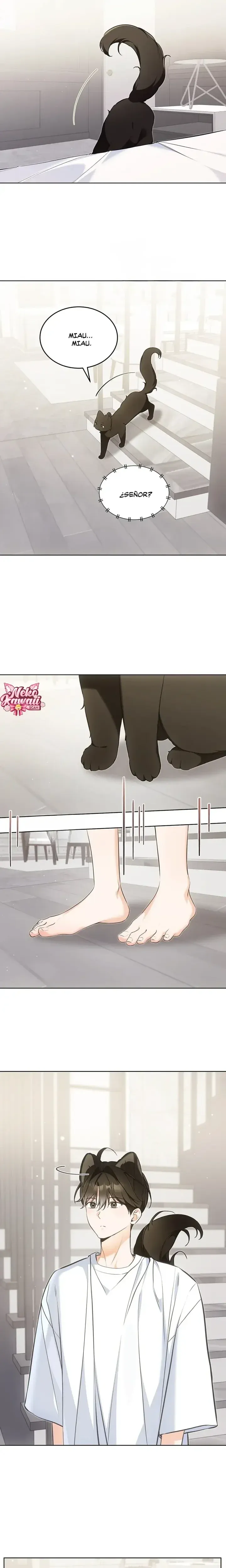 Página 2 — Terapia de gatos Capítulo 25