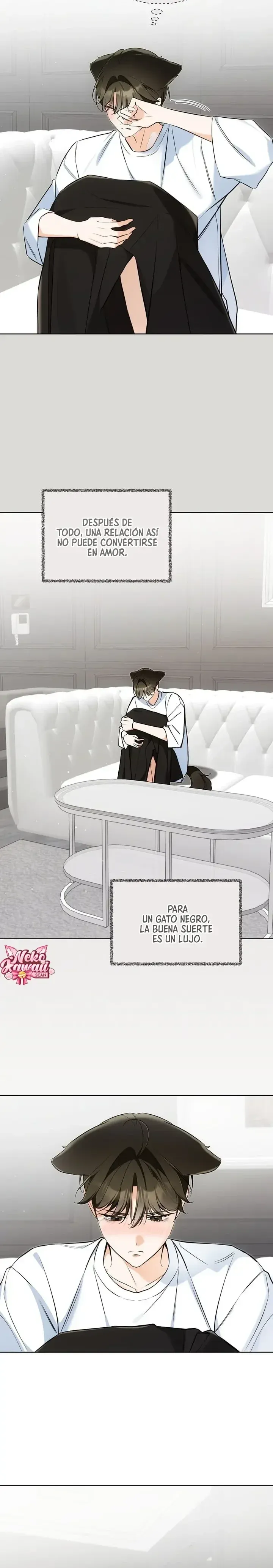 Página 6 — Terapia de gatos Capítulo 25