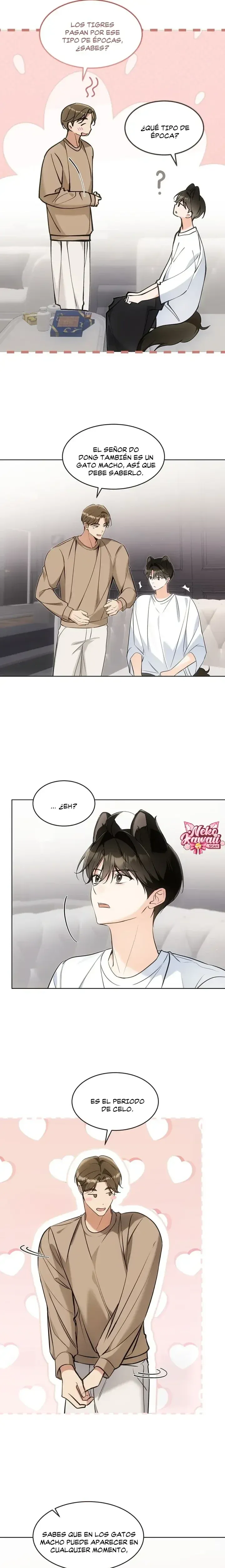 Página 13 — Terapia de gatos Capítulo 25