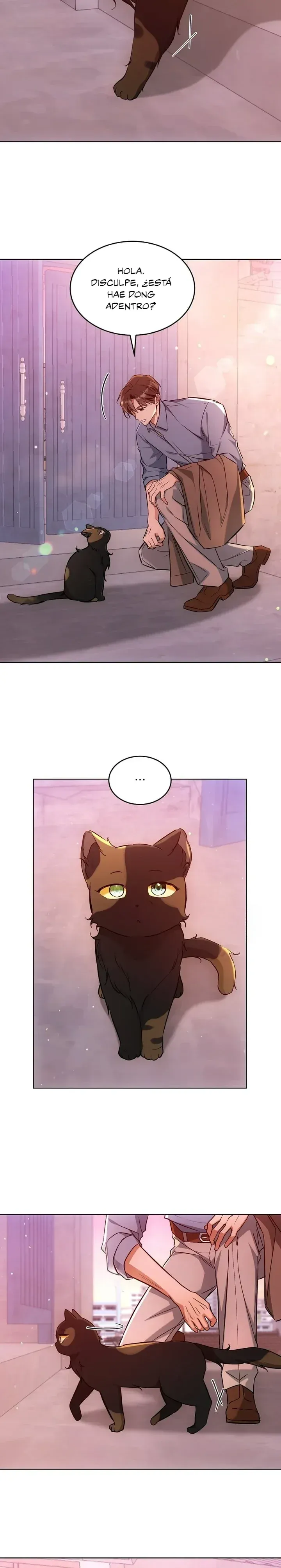 Página 13 — Terapia de gatos Capítulo 31