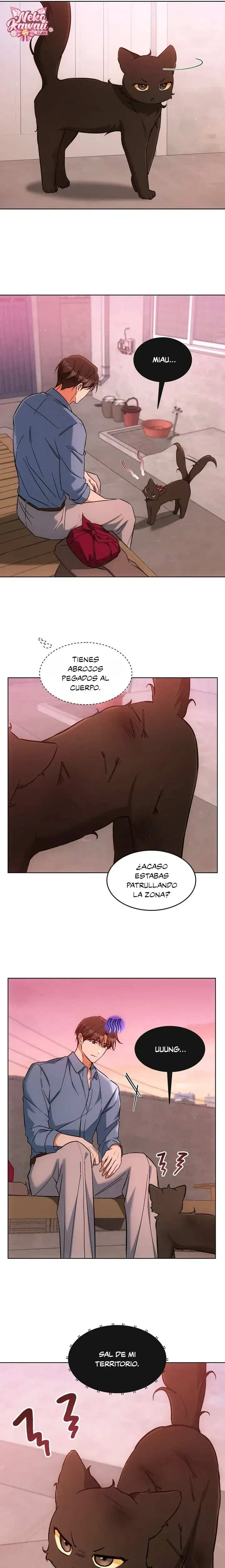 Página 17 — Terapia de gatos Capítulo 32