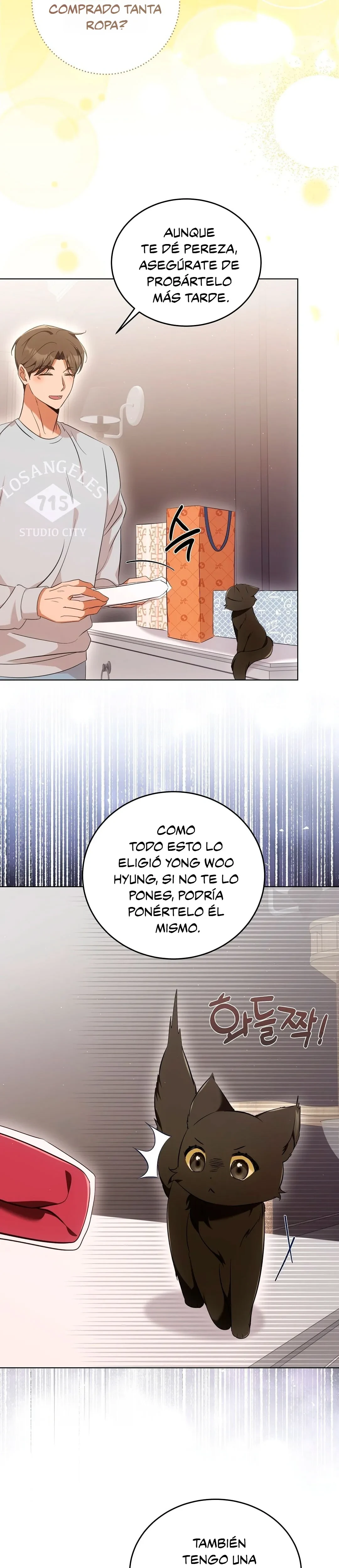 Página 16 — Terapia de gatos Capítulo 8
