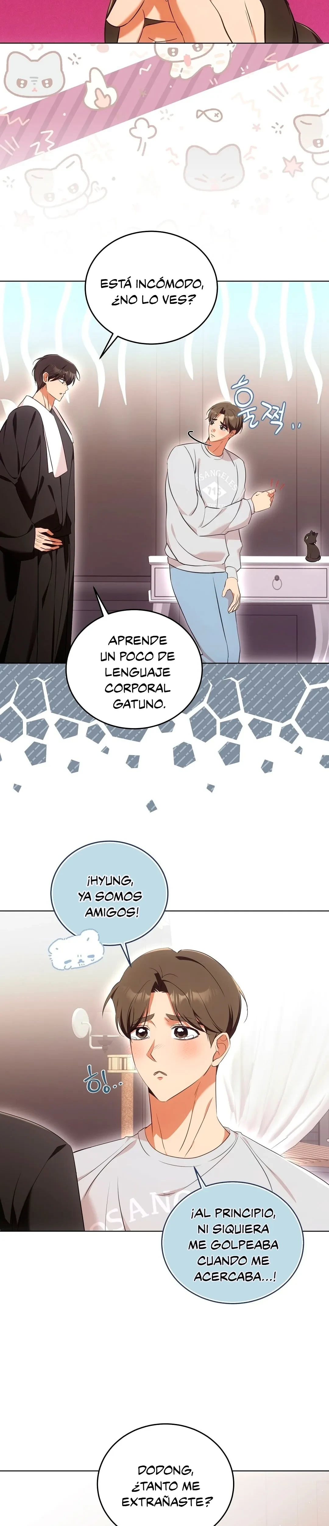 Página 19 — Terapia de gatos Capítulo 8