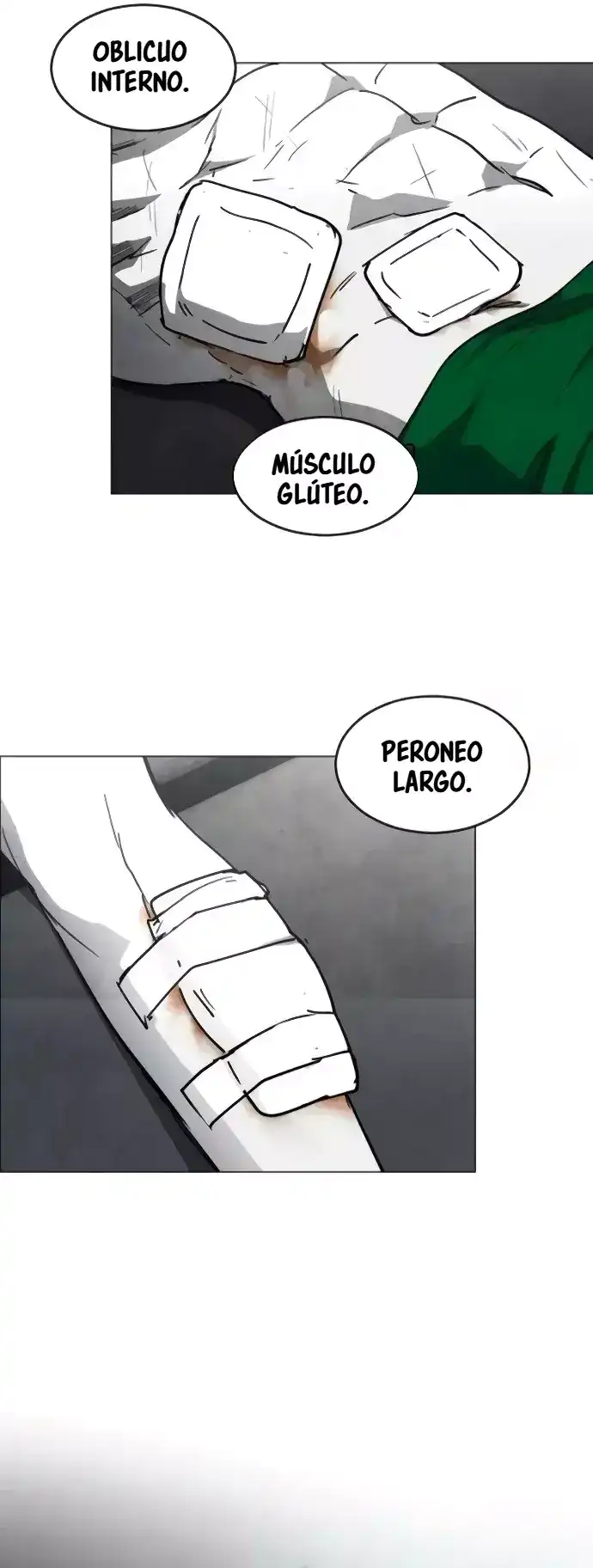 Página 154 — Tierra De Niebla Capítulo 20