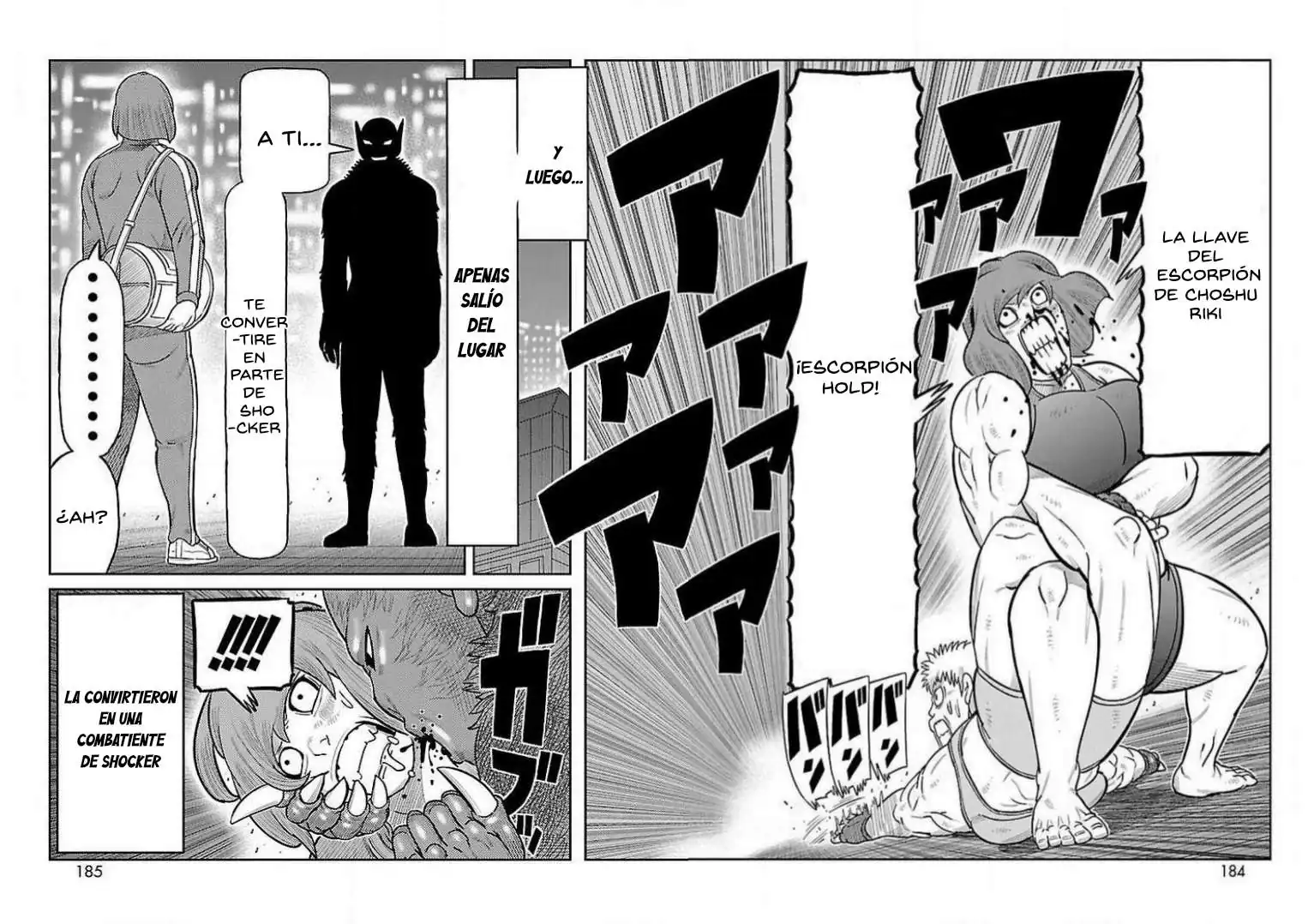 Página 17 — Toujima Tanzaburou wa Kamen Rider ni Naritai Capítulo 28