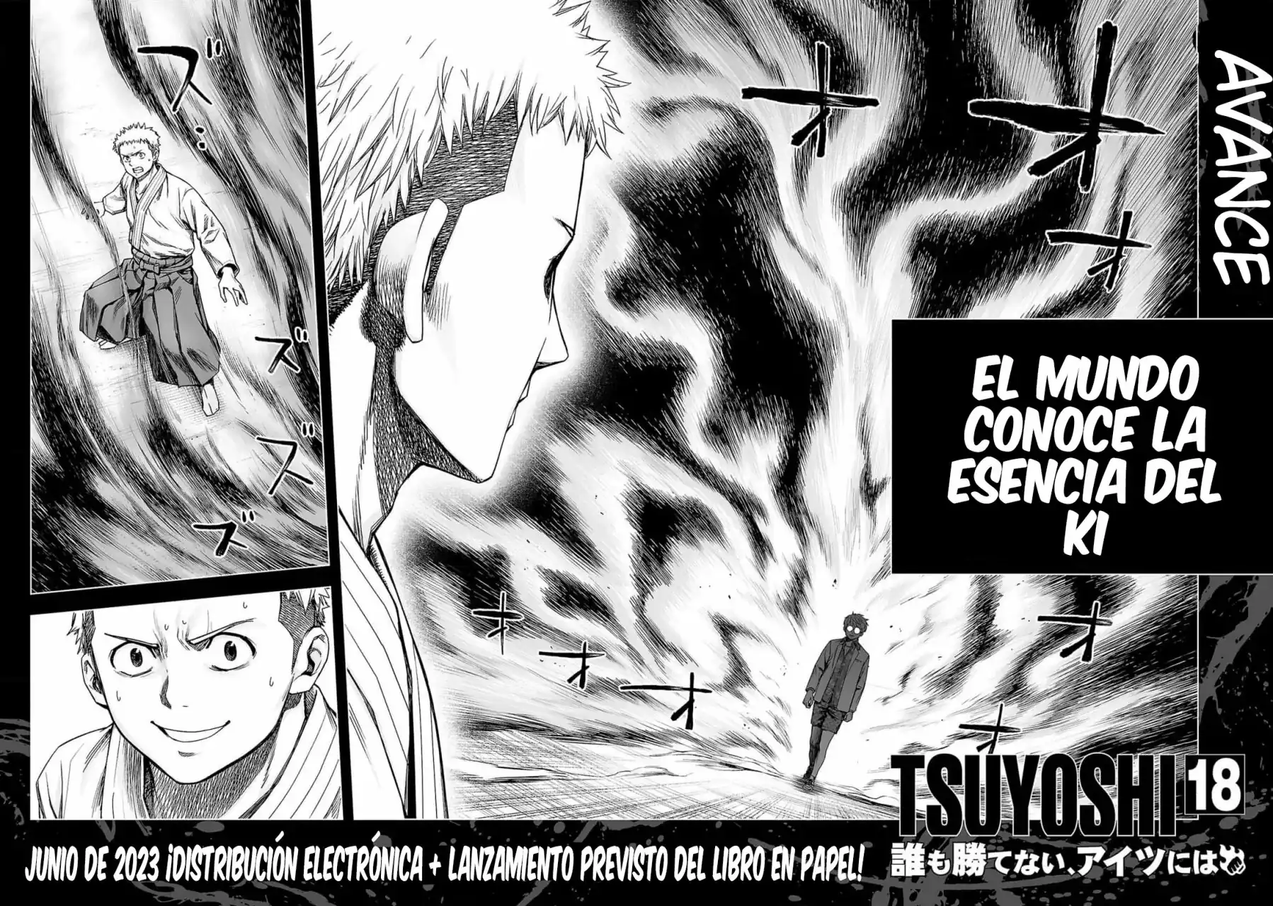 Página 17 — Capítulo 187 de Tsuyoshi: Daremo Katenai, Aitsu ni wa