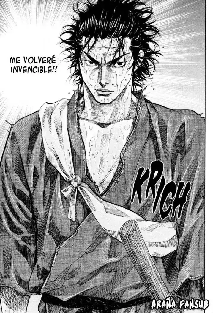 Página 13 — Vagabond Capítulo 36