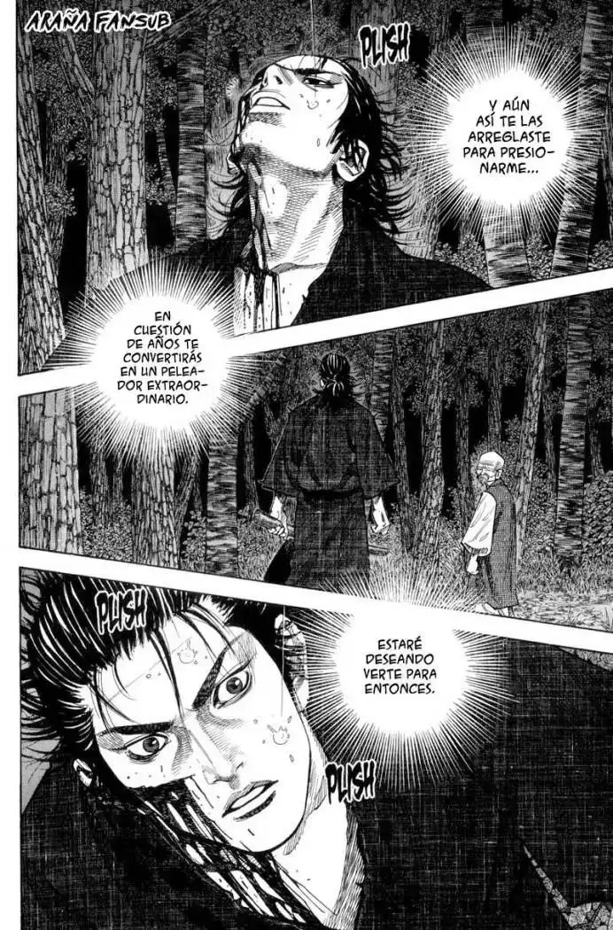 Página 5 — Vagabond Capítulo 74