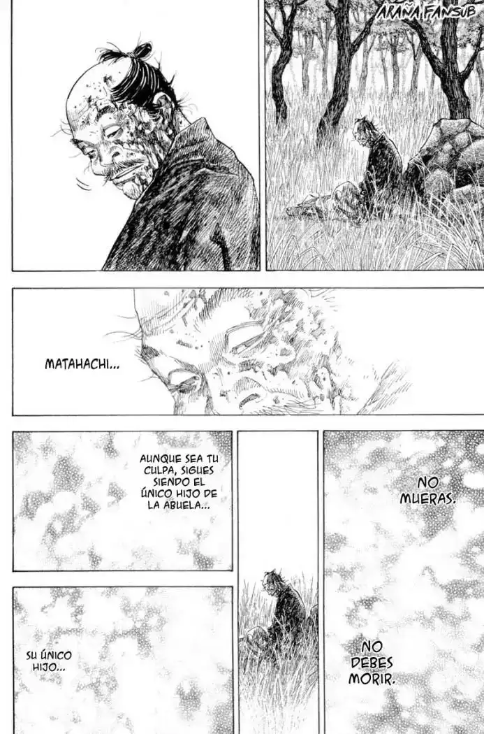 Página 15 — Vagabond Capítulo 110