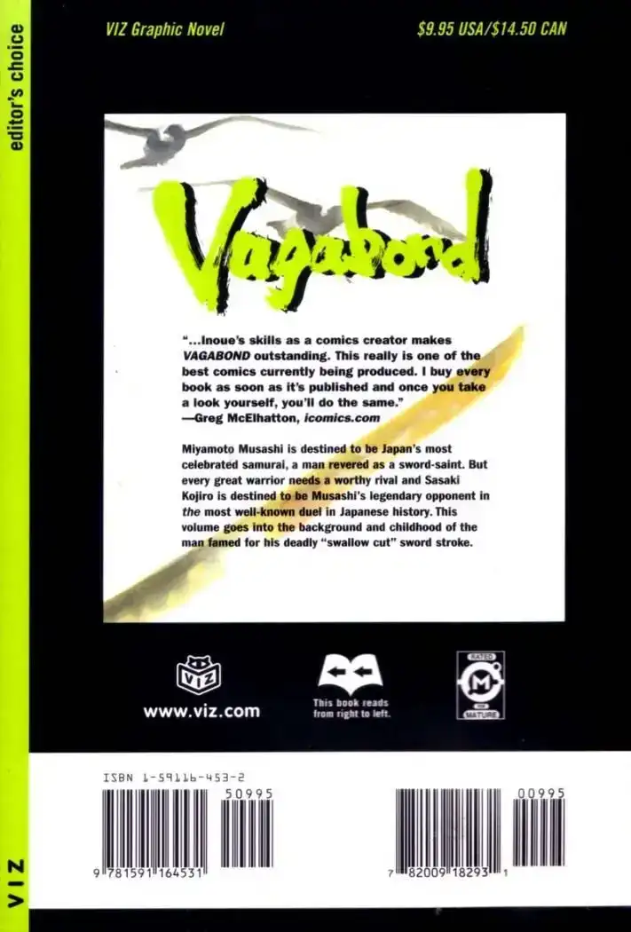 Página 29 — Vagabond Capítulo 143
