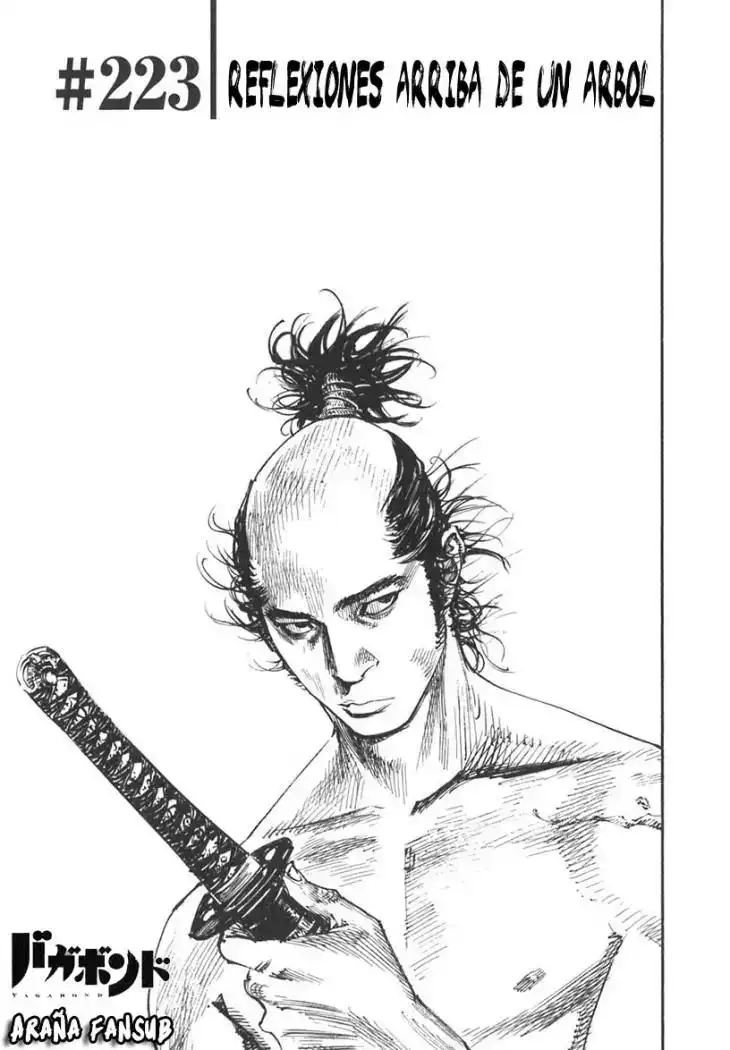 Página 1 — Vagabond Capítulo 223