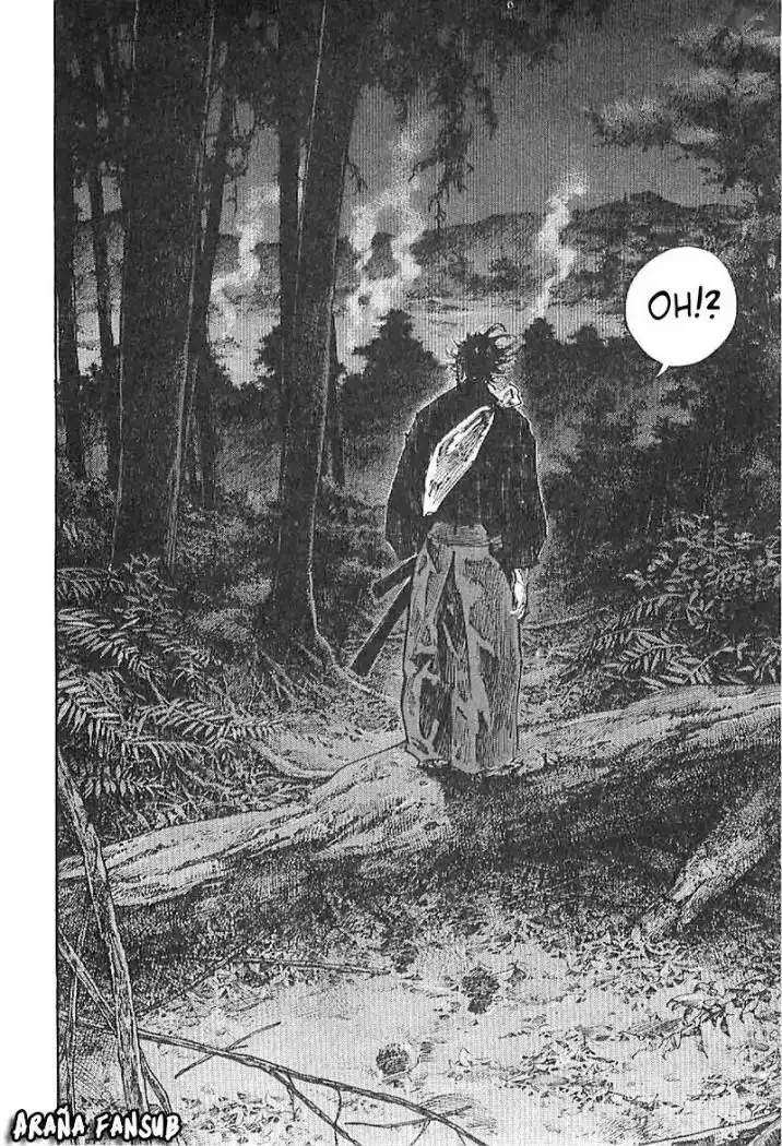 Página 9 — Vagabond Capítulo 225