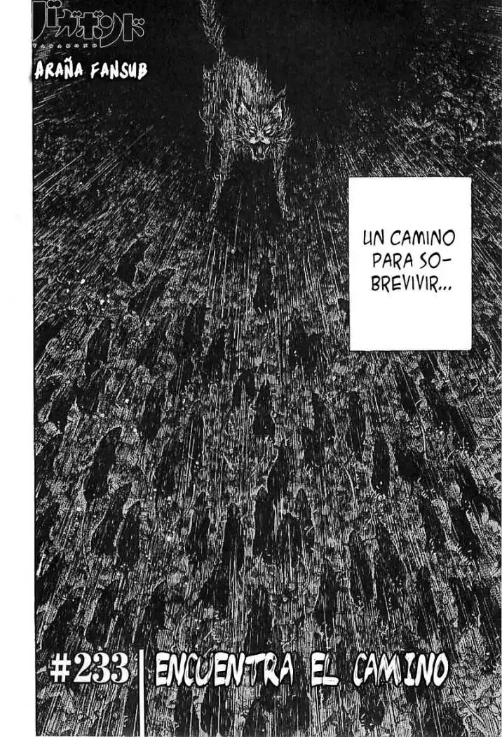 Página 4 — Vagabond Capítulo 233