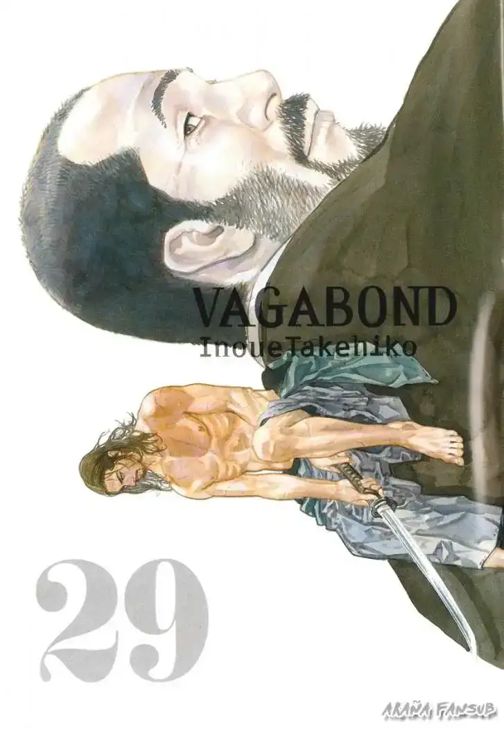 Página 3 — Vagabond Capítulo 252