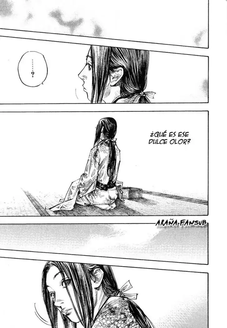 Página 17 — Vagabond Capítulo 259