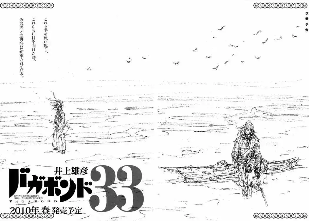 Página 29 — Vagabond Capítulo 287
