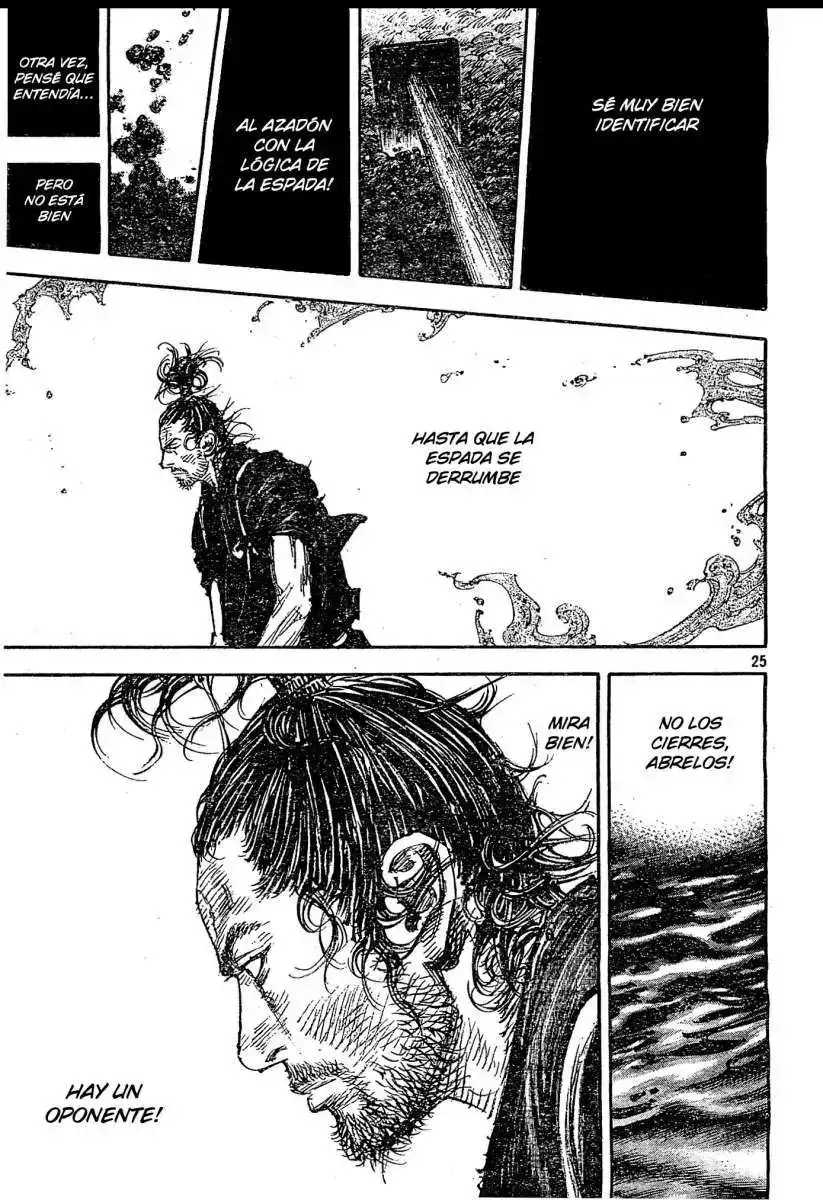 Página 25 — Vagabond Capítulo 314