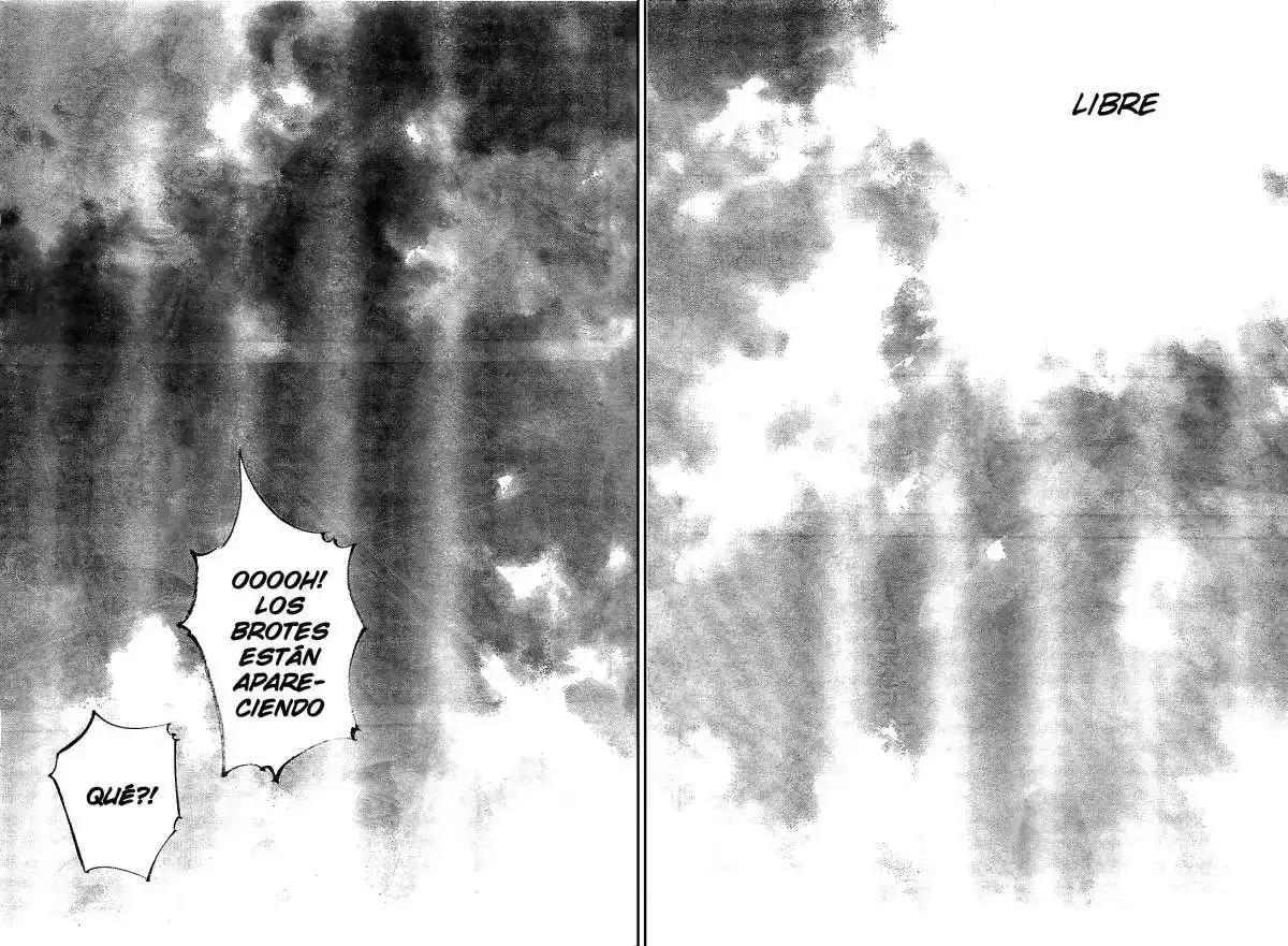 Página 32 — Vagabond Capítulo 317