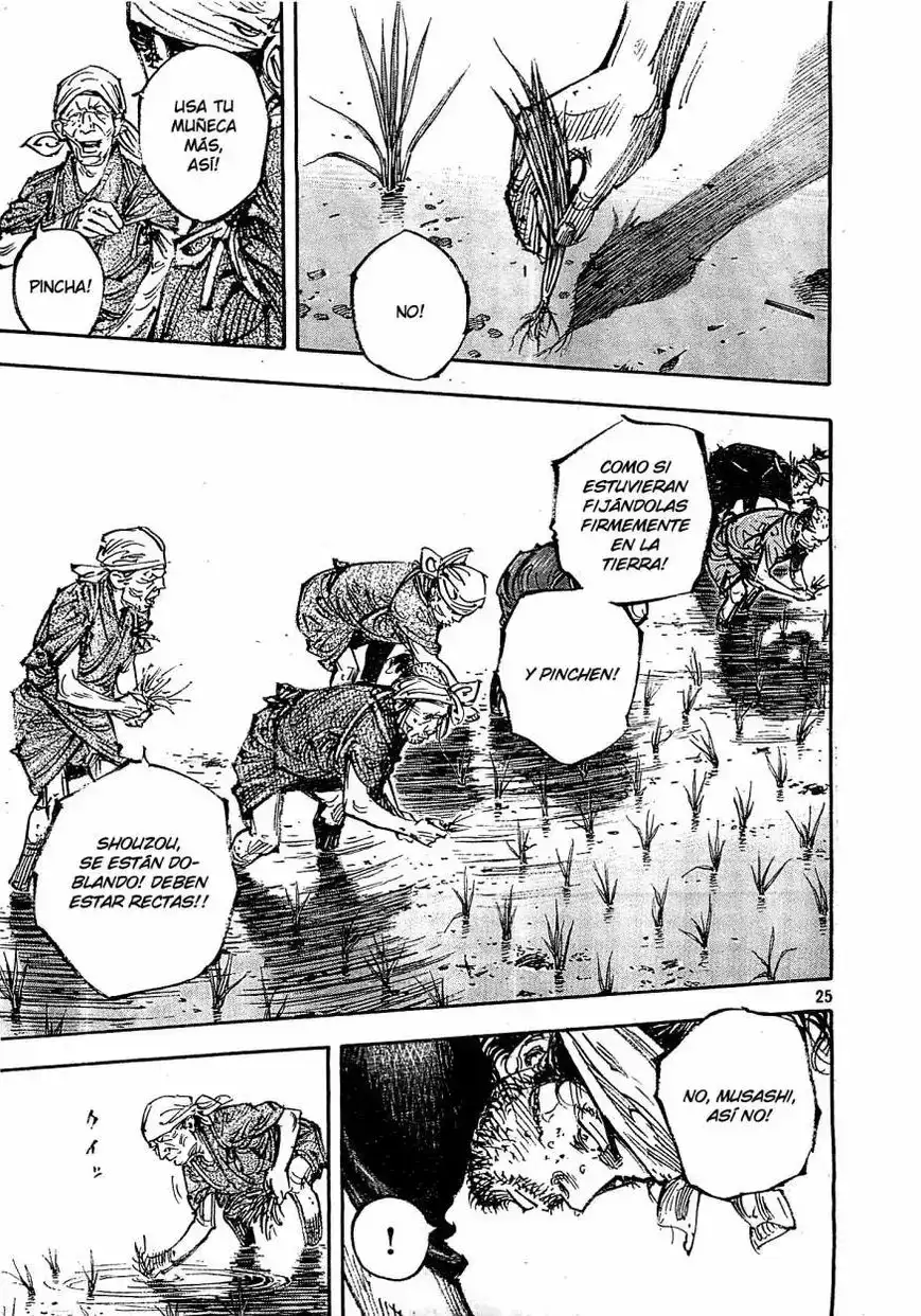 Página 25 — Vagabond Capítulo 318