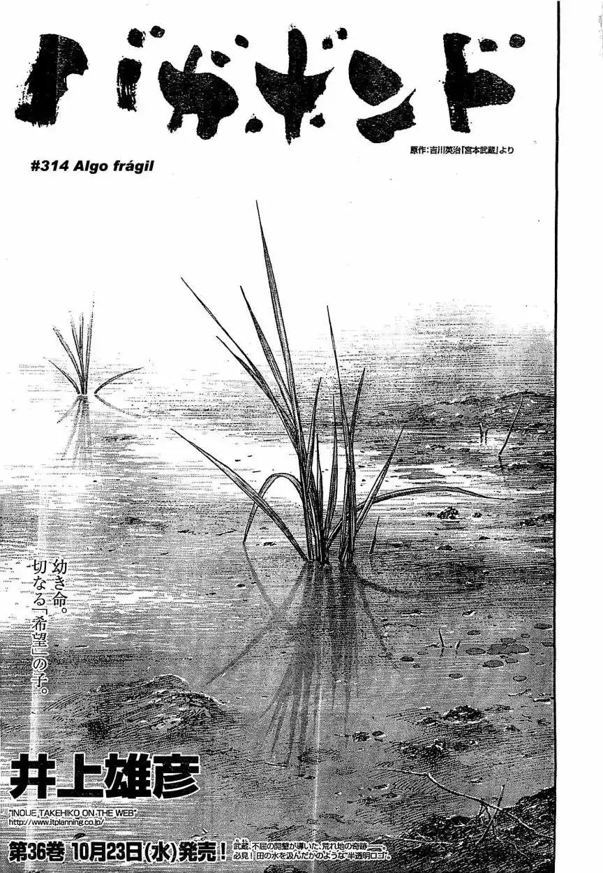 Página 1 — Vagabond Capítulo 319