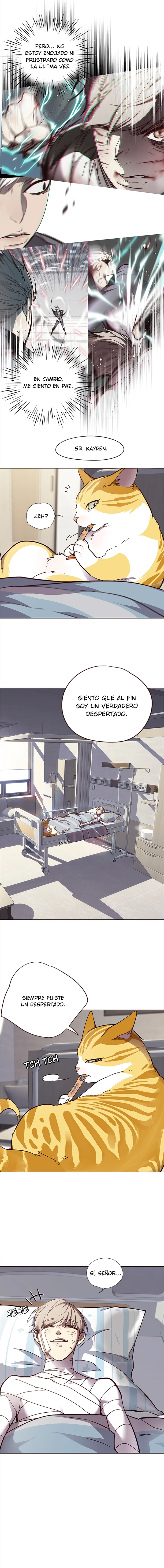 Página 5 — Velocidad Eléctrica Capítulo 28