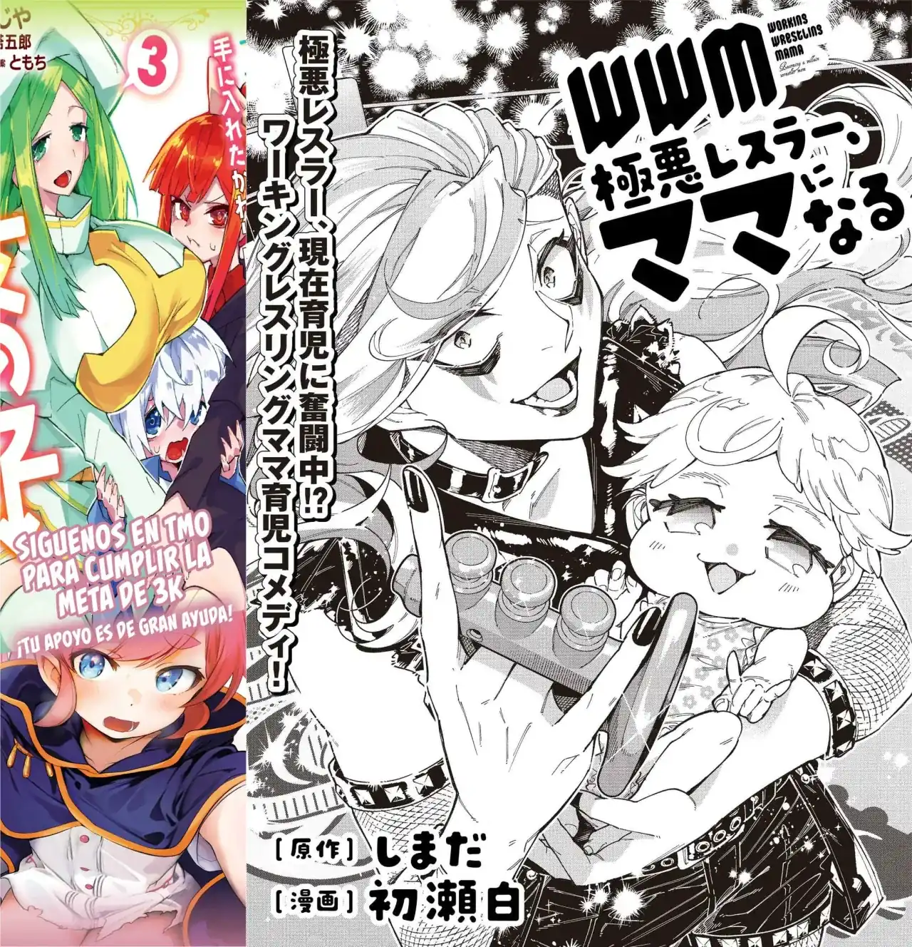Página 3 — Capítulo 1 de WWM Workins Wrestlins Mama